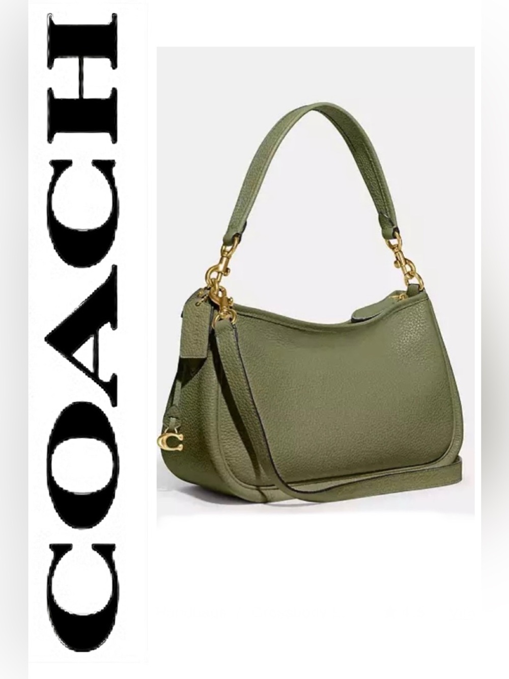 Coach Cary leather Crossbody / shoulder bag Moss / Olive NWT